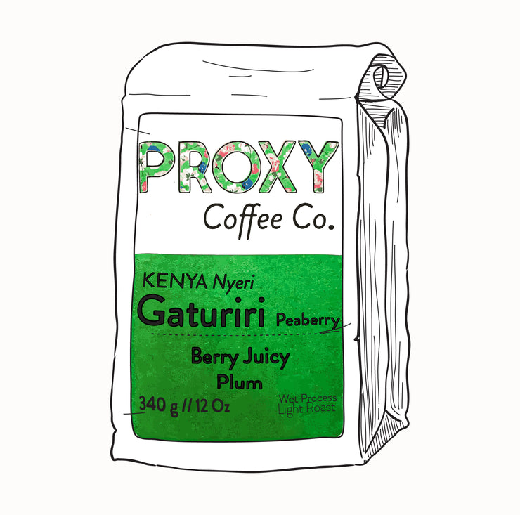 KENYA - Nyeri Gaturiri Peaberry - Light Roast
